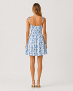 Lucinda Floral Tie-Shoulder Mini Dress