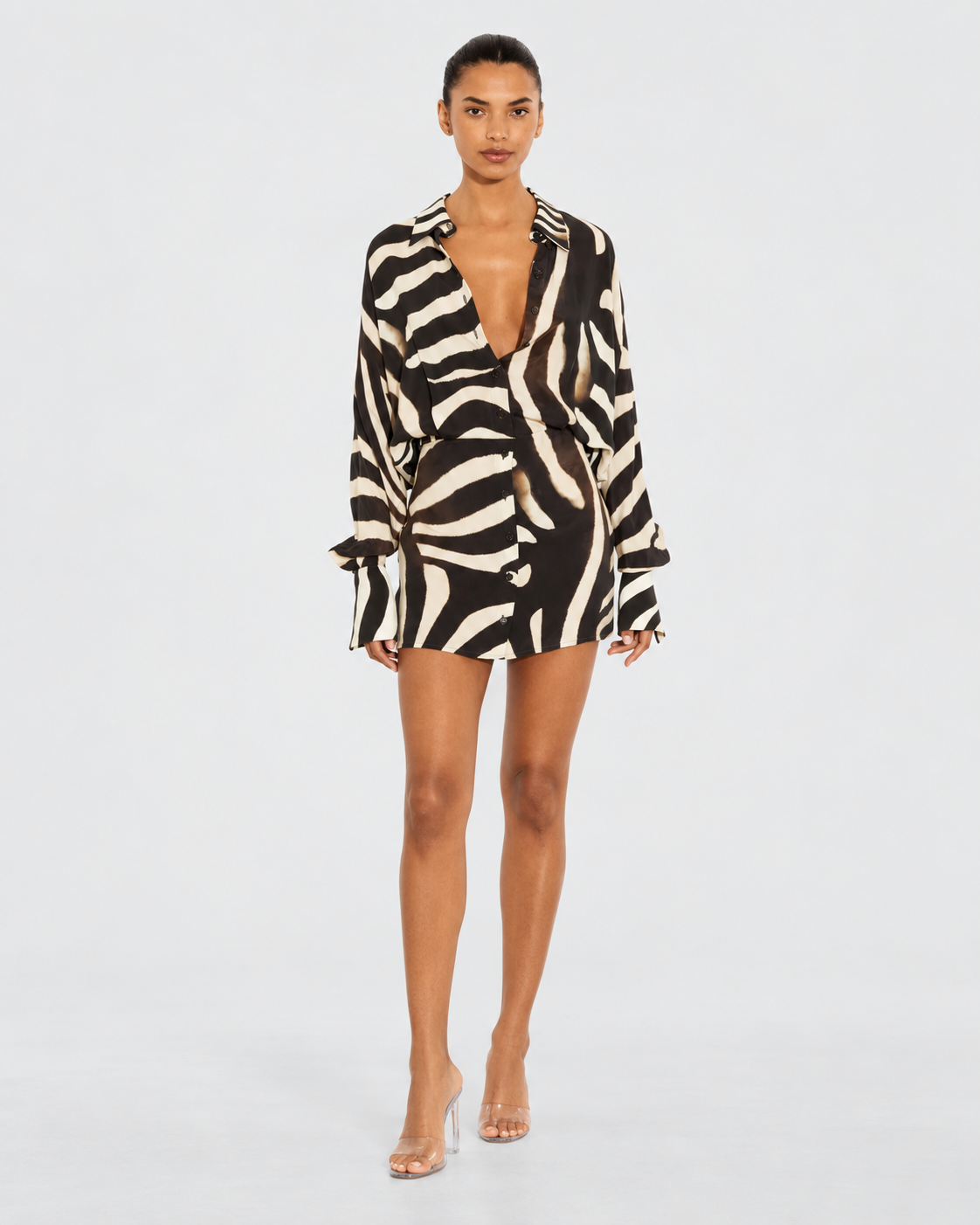 Zahra Zebra Print Long Sleeve Mini Dress