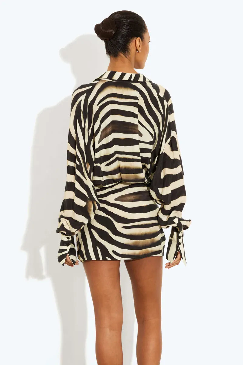 Women's Zebra Print Long Sleeve Mini Dress